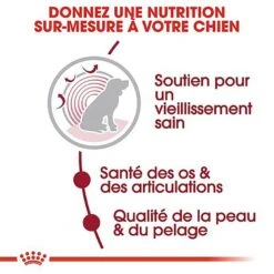 Royal Canin - Croquettes Medium Ageing 10+ Pour Chien Senior - 15Kg 12 Royal Canin - Croquettes Medium Ageing 10+ Pour Chien Senior - 15Kg -Chats Chiens Articles Magasin 67667