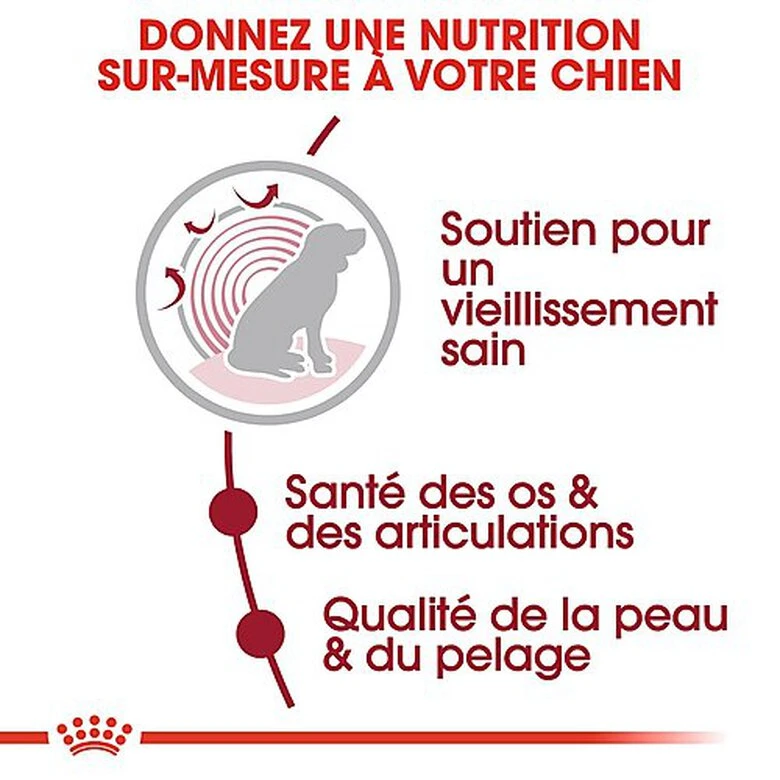 Royal Canin - Croquettes Medium Ageing 10+ Pour Chien Senior - 15Kg 6 Royal Canin - Croquettes Medium Ageing 10+ Pour Chien Senior - 15Kg – Image 4