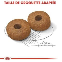 Royal Canin - Croquettes Medium Ageing 10+ Pour Chien Senior - 15Kg 13 Royal Canin - Croquettes Medium Ageing 10+ Pour Chien Senior - 15Kg -Chats Chiens Articles Magasin 67668