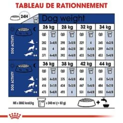 Royal Canin - Croquettes Maxi Ageing 8+ Pour Chien Senior - 15Kg 14 Royal Canin - Croquettes Maxi Ageing 8+ Pour Chien Senior - 15Kg -Chats Chiens Articles Magasin 67676