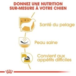 Royal Canin - Croquettes Westie Pour Chien Adulte - 3Kg 13 Royal Canin - Croquettes Westie Pour Chien Adulte - 3Kg -Chats Chiens Articles Magasin 67759
