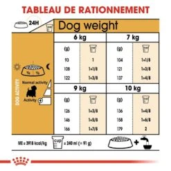 Royal Canin - Croquettes Westie Pour Chien Adulte - 3Kg 14 Royal Canin - Croquettes Westie Pour Chien Adulte - 3Kg -Chats Chiens Articles Magasin 67760