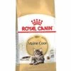 Royal Canin - Croquettes Maine Coon Pour Chat Adulte 1 Royal Canin - Croquettes Maine Coon Pour Chat Adulte -Chats Chiens Articles Magasin 67791