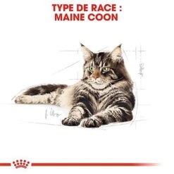Royal Canin - Croquettes Maine Coon Pour Chat Adulte 13 Royal Canin - Croquettes Maine Coon Pour Chat Adulte -Chats Chiens Articles Magasin 67792