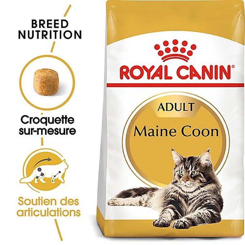 Royal Canin - Croquettes Maine Coon Pour Chat Adulte 6 Royal Canin - Croquettes Maine Coon Pour Chat Adulte – Image 4