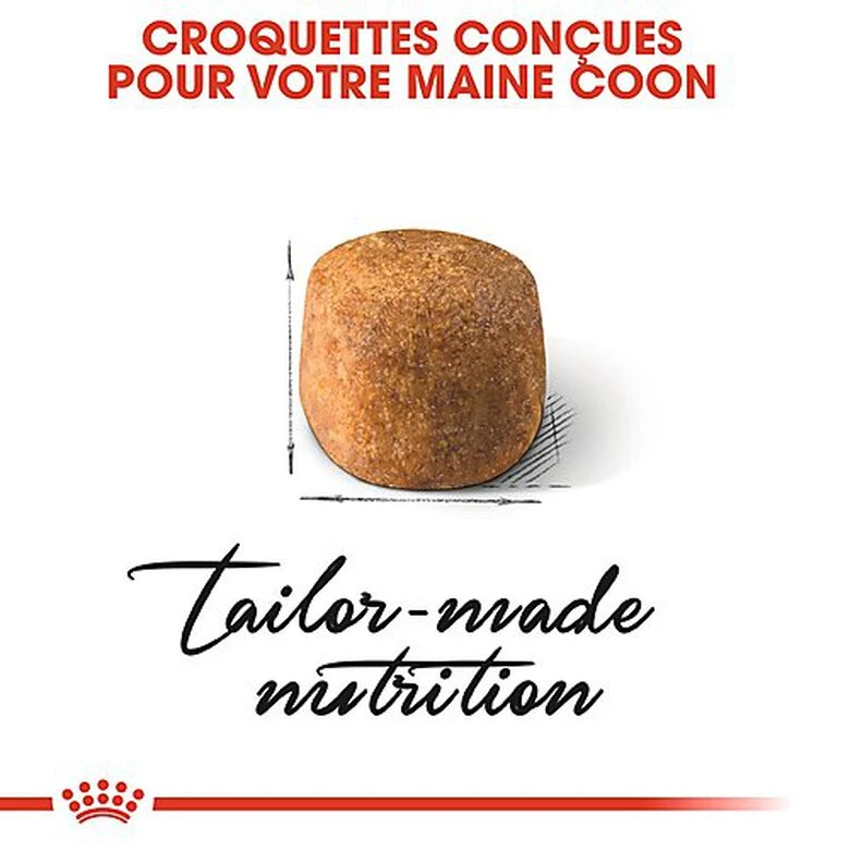 Royal Canin - Croquettes Maine Coon Pour Chat Adulte 7 Royal Canin - Croquettes Maine Coon Pour Chat Adulte – Image 5