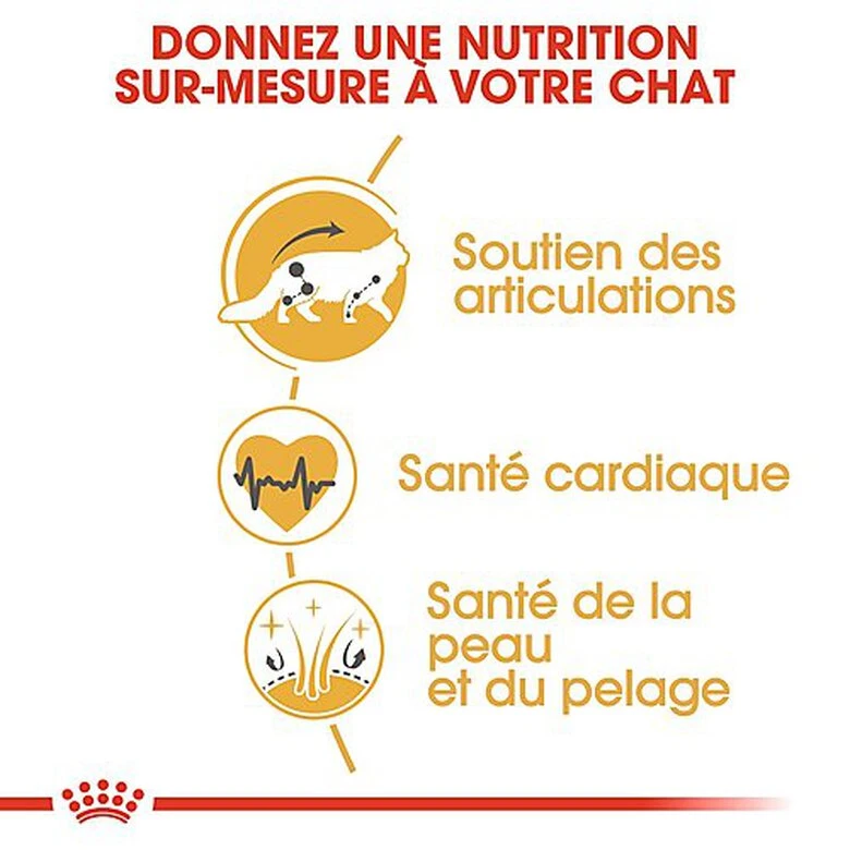 Royal Canin - Croquettes Maine Coon Pour Chat Adulte 8 Royal Canin - Croquettes Maine Coon Pour Chat Adulte – Image 6