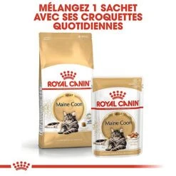 Royal Canin - Croquettes Maine Coon Pour Chat Adulte 17 Royal Canin - Croquettes Maine Coon Pour Chat Adulte -Chats Chiens Articles Magasin 67796