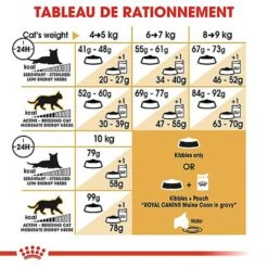 Royal Canin - Croquettes Maine Coon Pour Chat Adulte 18 Royal Canin - Croquettes Maine Coon Pour Chat Adulte -Chats Chiens Articles Magasin 67797