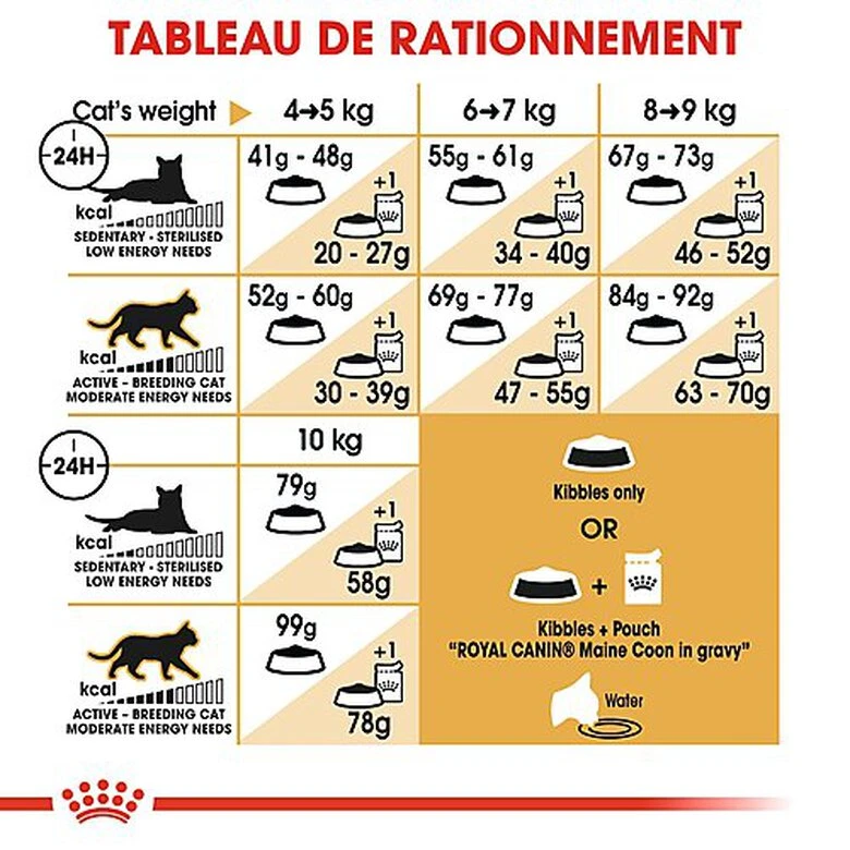 Royal Canin - Croquettes Maine Coon Pour Chat Adulte 10 Royal Canin - Croquettes Maine Coon Pour Chat Adulte – Image 8