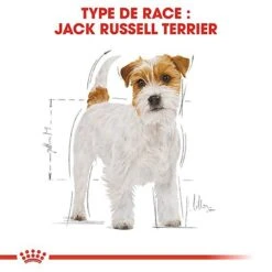 Meilleures ventes -Chats Chiens Articles Magasin 67829