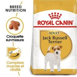 Royal Canin - Croquettes Jack Russel Terrier Pour Chien Adulte -Chats Chiens Articles Magasin 67830