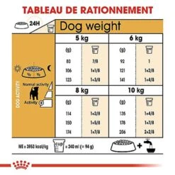 Royal Canin - Croquettes Jack Russel Terrier Pour Chien Adulte -Chats Chiens Articles Magasin 67832