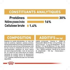 Royal Canin - Croquettes Jack Russel Terrier Pour Chien Adulte -Chats Chiens Articles Magasin 67833