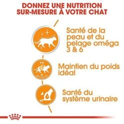 Royal Canin - Sachets Intense Beauty En Gelée Pour Chat - 12x85g 11 Royal Canin - Sachets Intense Beauty En Gelée Pour Chat - 12x85g -Chats Chiens Articles Magasin 67904