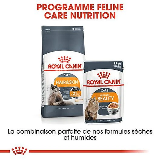 Royal Canin - Sachets Intense Beauty En Gelée Pour Chat - 12x85g 7 Royal Canin - Sachets Intense Beauty En Gelée Pour Chat - 12x85g – Image 5
