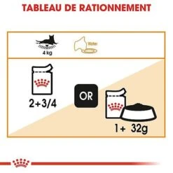 Royal Canin - Sachets Intense Beauty En Gelée Pour Chat - 12x85g 14 Royal Canin - Sachets Intense Beauty En Gelée Pour Chat - 12x85g -Chats Chiens Articles Magasin 67907