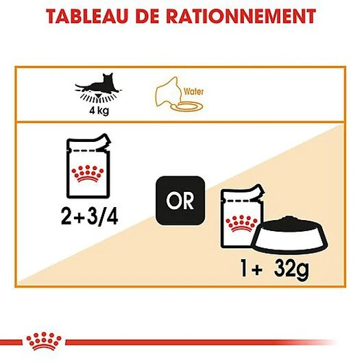 Royal Canin - Sachets Intense Beauty En Gelée Pour Chat - 12x85g 8 Royal Canin - Sachets Intense Beauty En Gelée Pour Chat - 12x85g – Image 6