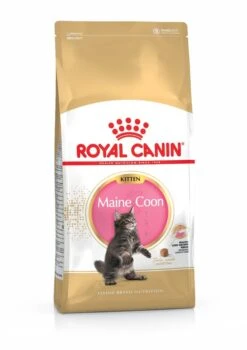 Royal Canin - Croquettes Maine Coon Pour Chaton - 2Kg