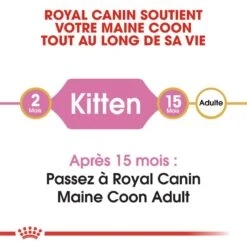 Royal Canin - Croquettes Maine Coon Pour Chaton - 2Kg -Chats Chiens Articles Magasin 67930