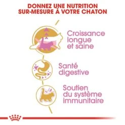 Royal Canin - Croquettes Maine Coon Pour Chaton - 2Kg -Chats Chiens Articles Magasin 67931