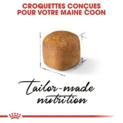 Royal Canin - Croquettes Maine Coon Pour Chaton - 2Kg -Chats Chiens Articles Magasin 67932