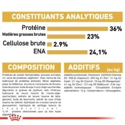 Royal Canin - Croquettes Maine Coon Pour Chaton - 2Kg -Chats Chiens Articles Magasin 67935