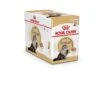 Royal Canin - Sachets Persian En Mousse Pour Chat - 12x85g 1 Royal Canin - Sachets Persian En Mousse Pour Chat - 12x85g -Chats Chiens Articles Magasin 68041