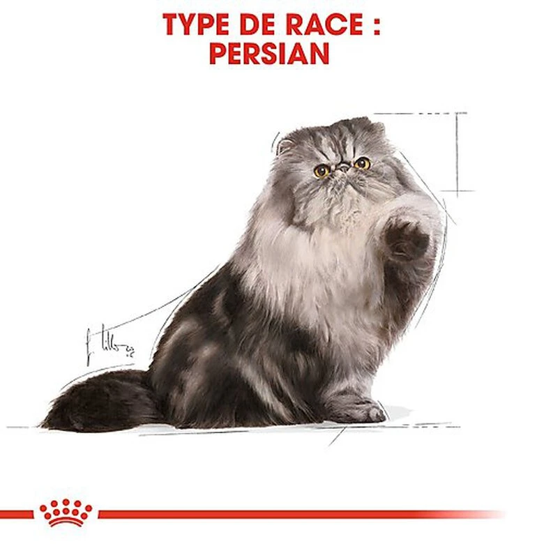 Royal Canin - Sachets Persian En Mousse Pour Chat - 12x85g 5 Royal Canin - Sachets Persian En Mousse Pour Chat - 12x85g – Image 3