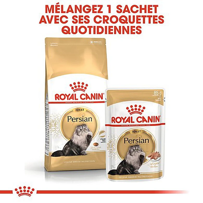 Royal Canin - Sachets Persian En Mousse Pour Chat - 12x85g 7 Royal Canin - Sachets Persian En Mousse Pour Chat - 12x85g – Image 5