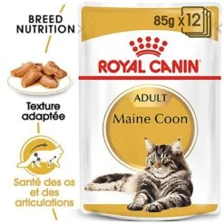 Royal Canin - Sachets Maine Coon En Sauce Pour Chat - 12x85g 10 Royal Canin - Sachets Maine Coon En Sauce Pour Chat - 12x85g -Chats Chiens Articles Magasin 68048