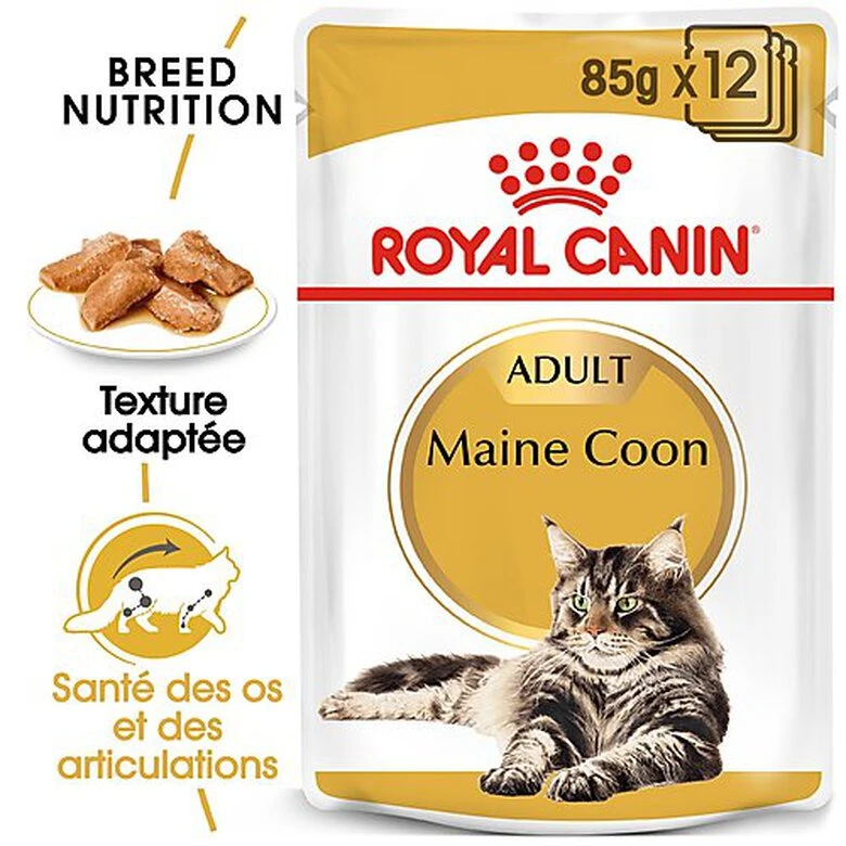 Royal Canin - Sachets Maine Coon En Sauce Pour Chat - 12x85g 4 Royal Canin - Sachets Maine Coon En Sauce Pour Chat - 12x85g – Image 2