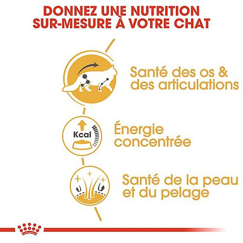 Royal Canin - Sachets Maine Coon En Sauce Pour Chat - 12x85g 6 Royal Canin - Sachets Maine Coon En Sauce Pour Chat - 12x85g – Image 4