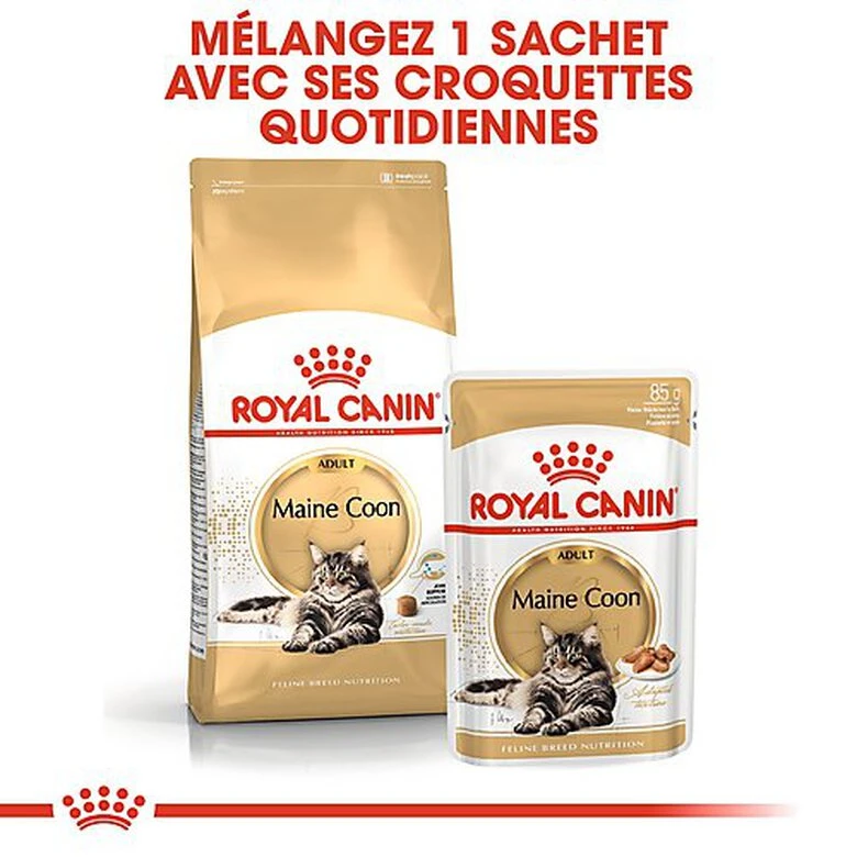 Royal Canin - Sachets Maine Coon En Sauce Pour Chat - 12x85g 7 Royal Canin - Sachets Maine Coon En Sauce Pour Chat - 12x85g – Image 5