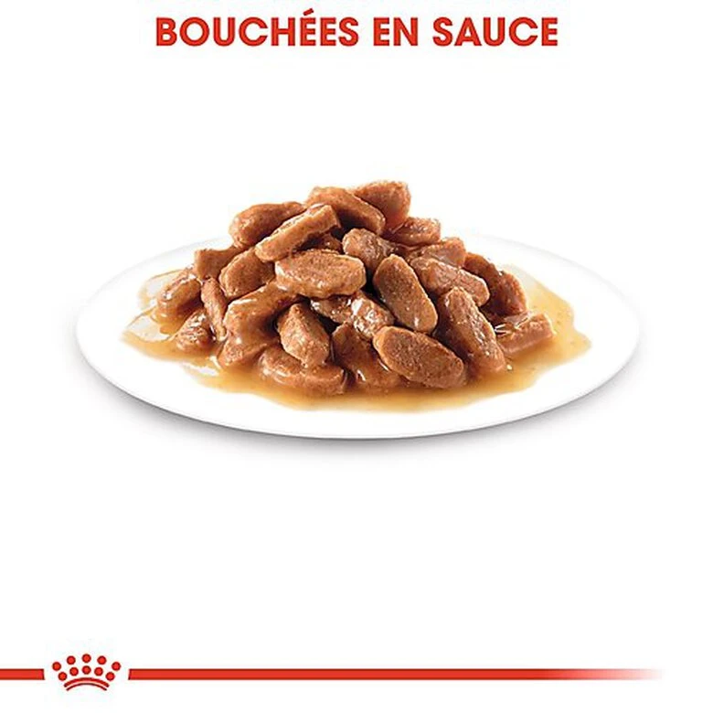 Royal Canin - Sachets Kitten Sterilised En Sauce Pour Chaton - 12x85g 7 Royal Canin - Sachets Kitten Sterilised En Sauce Pour Chaton - 12x85g – Image 5
