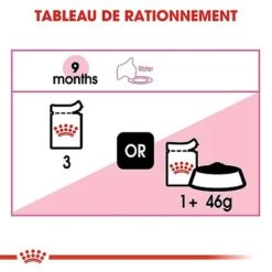 Royal Canin - Sachets Kitten Sterilised En Sauce Pour Chaton - 12x85g 15 Royal Canin - Sachets Kitten Sterilised En Sauce Pour Chaton - 12x85g -Chats Chiens Articles Magasin 68062