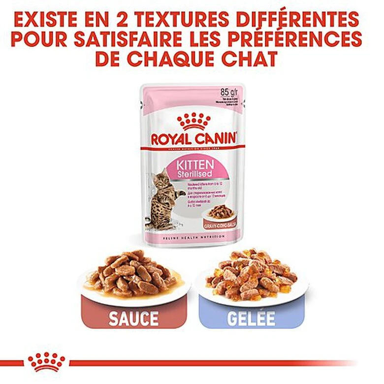 Royal Canin - Sachets Kitten Sterilised En Sauce Pour Chaton - 12x85g 9 Royal Canin - Sachets Kitten Sterilised En Sauce Pour Chaton - 12x85g – Image 7