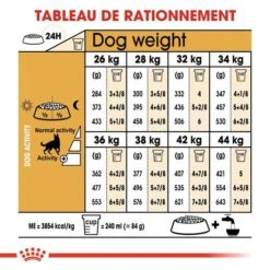 Royal Canin - Croquettes Berger Allemand Pour Chien Adulte - 11Kg -Chats Chiens Articles Magasin 68078
