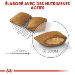 Royal Canin - Croquettes Mini Exigent Pour Chien - 3Kg -Chats Chiens Articles Magasin 68084