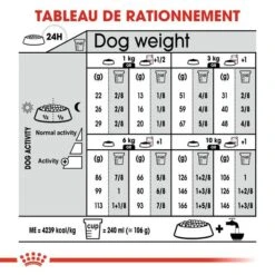 Royal Canin - Croquettes Mini Exigent Pour Chien - 3Kg -Chats Chiens Articles Magasin 68086