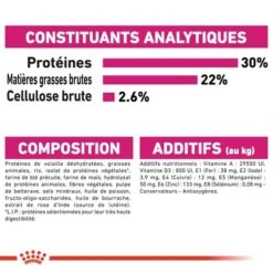 Royal Canin - Croquettes Mini Exigent Pour Chien - 3Kg -Chats Chiens Articles Magasin 68087