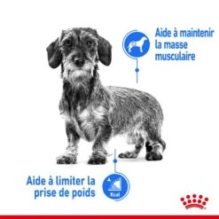 Royal Canin - Croquettes Mini Light Weight Care Pour Chien - 3Kg -Chats Chiens Articles Magasin 68138