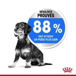 Royal Canin - Croquettes Mini Light Weight Care Pour Chien - 3Kg -Chats Chiens Articles Magasin 68139