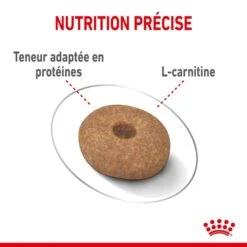 Royal Canin - Croquettes Mini Light Weight Care Pour Chien - 3Kg -Chats Chiens Articles Magasin 68140