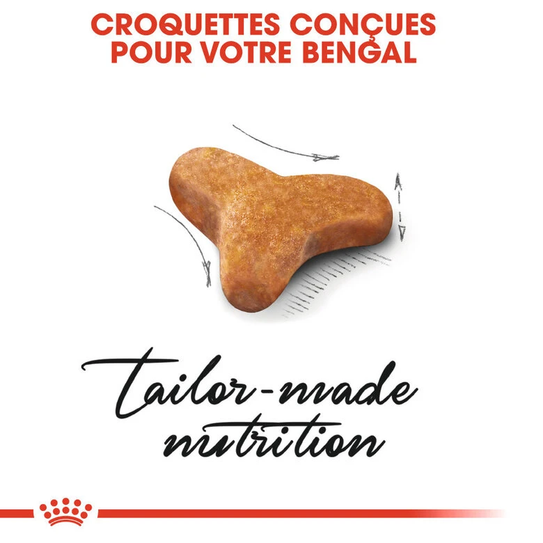 Royal Canin - Croquettes Bengal Pour Chat Adulte - 2Kg 6 Royal Canin - Croquettes Bengal Pour Chat Adulte - 2Kg – Image 4