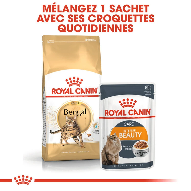 Royal Canin - Croquettes Bengal Pour Chat Adulte - 2Kg 8 Royal Canin - Croquettes Bengal Pour Chat Adulte - 2Kg – Image 6