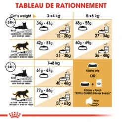 Royal Canin - Croquettes Bengal Pour Chat Adulte - 2Kg 16 Royal Canin - Croquettes Bengal Pour Chat Adulte - 2Kg -Chats Chiens Articles Magasin 68348