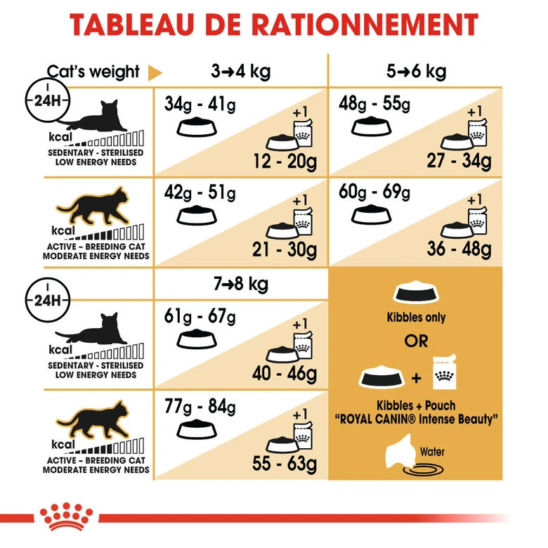 Royal Canin - Croquettes Bengal Pour Chat Adulte - 2Kg 9 Royal Canin - Croquettes Bengal Pour Chat Adulte - 2Kg – Image 7