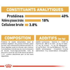 Royal Canin - Croquettes Bengal Pour Chat Adulte - 2Kg 17 Royal Canin - Croquettes Bengal Pour Chat Adulte - 2Kg -Chats Chiens Articles Magasin 68349