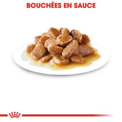 Royal Canin - Sachets Mini Ageing 12+ En Sauce Pour Chien - 12X85g -Chats Chiens Articles Magasin 68354